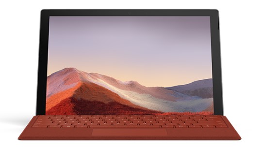 樟树清洁和维护 Surface